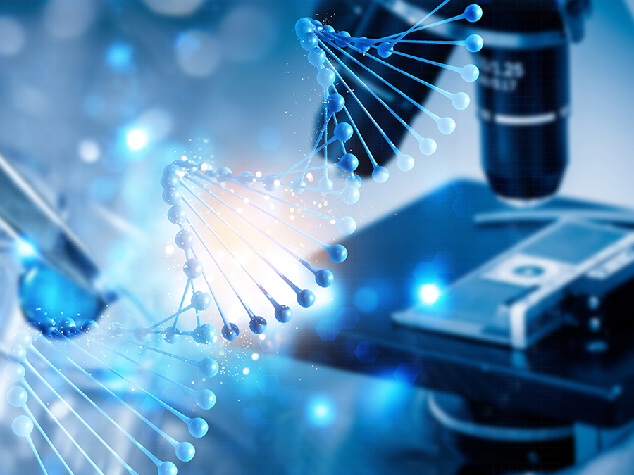 The Backbone of Medicinal Synthesis: Pharmaceutical Intermediates